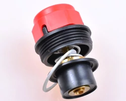 Biztonsági szelep belső (39410890